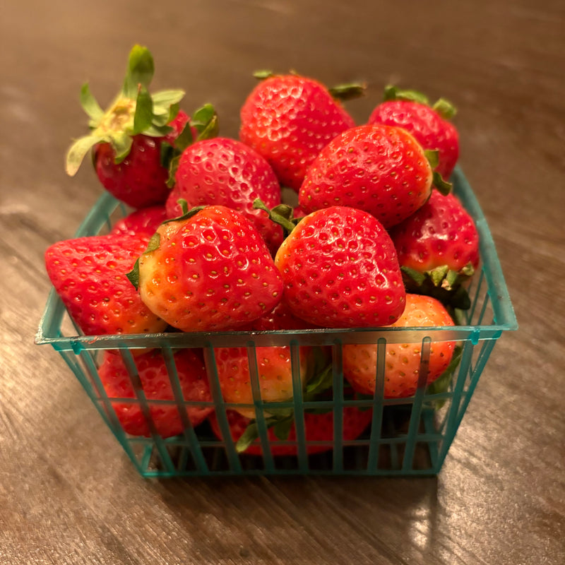 Florida Strawberries